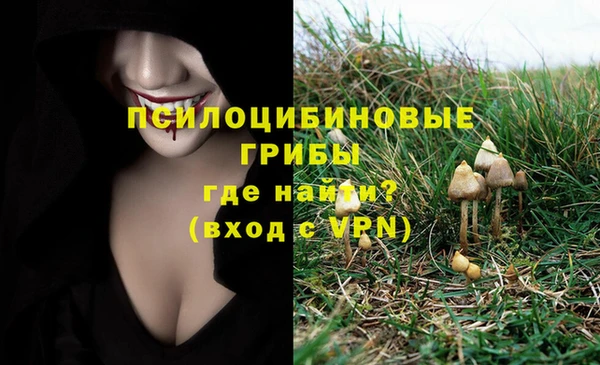 Альфа ПВП Покачи