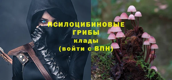 Альфа ПВП Покачи