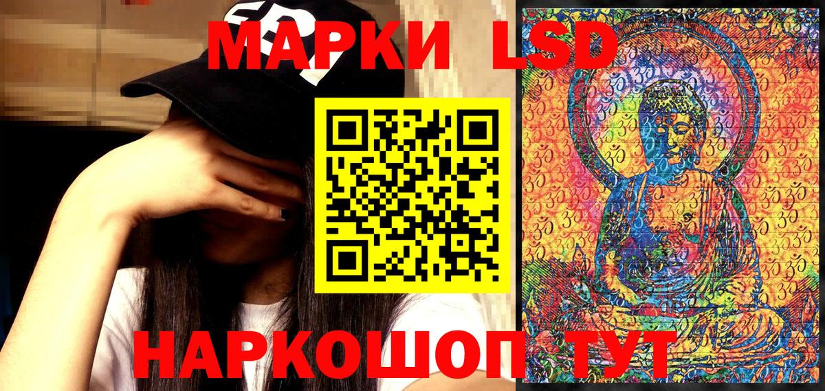 Альфа ПВП Великий Устюг