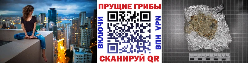 Галлюциногенные грибы Psilocybine cubensis  Великий Устюг 