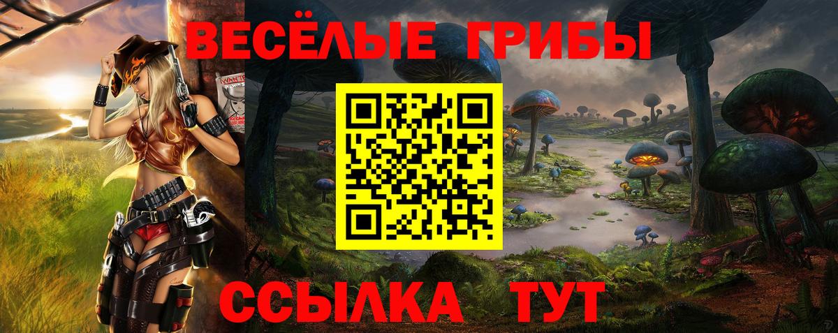 Псилоцибиновые грибы Psilocybe Великий Устюг