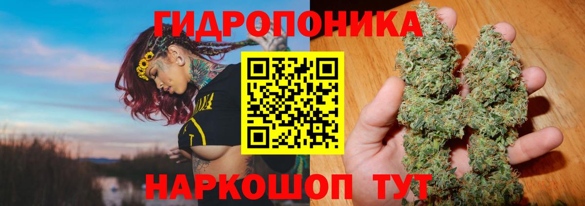 Марихуана планчик Великий Устюг